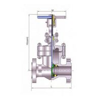 Arita Cast Steel Gate Valve Class 600