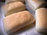 Panini Bread Panini Bread