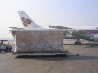 Air Cargo Bag/Sheet Air Cargo Bag/Sheet