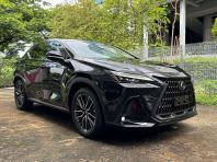 2022 LEXUS NX250 2.5 BASE (1154)