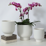 Pottery Ceramic Garden Pots For Sale Malaysia PC1247-19489 Phalaenopsis Flowerpot Ceramic Home Nordic White Light Luxury High-End Large Diameter մɼñŷɫݸ߼дſھ Phalaenopsis Pasu Bunga Rumah Seramik Nordic Cahaya Putih Mewah Berdiameter Besar