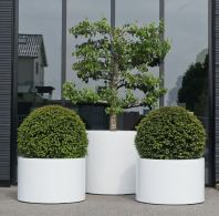 Large Modern Cylinder Planters Outdoor Supplier Malaysia PC1247-17204 ִԲͲ Penanam Silinder Moden Besar Pembekal Luaran Malaysia