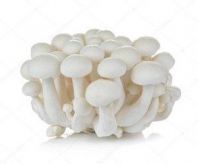 Cendawan White Shimeji / White Shimeji Mushroom