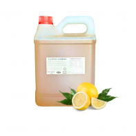 LEMON CONCENTRATE 5KG ÄûÃÊŨËõ¹ûÖ LEMON CONCENTRATE 5KG ÄûÃÊŨËõ¹ûÖ