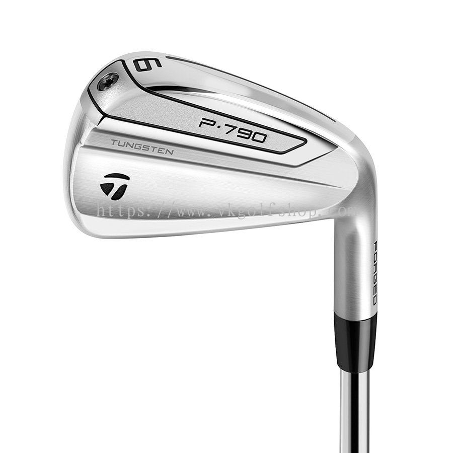 Selangor Golf Irons - Mens from V K Golf